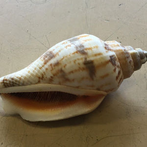 Meet your Posher, Dee